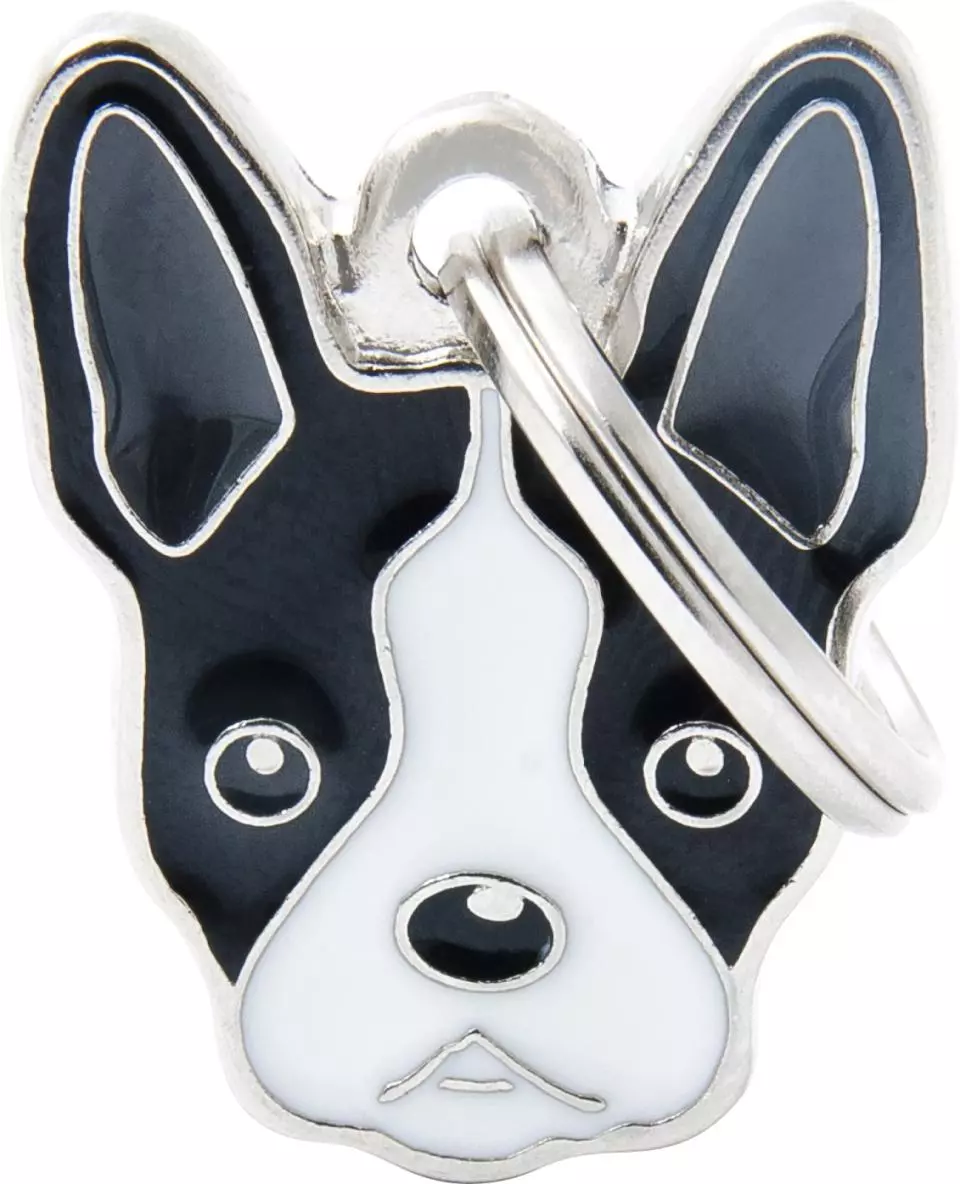 MyFamily Friends, Boston Terrier