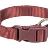 Halsb. Premium 201631 35-55cm 20mm M-L Sangria M/Hurtiglås
