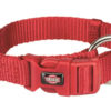 Halsb. Premium 201603 35-55cm 20mm M-L Rød M/Hurtiglås