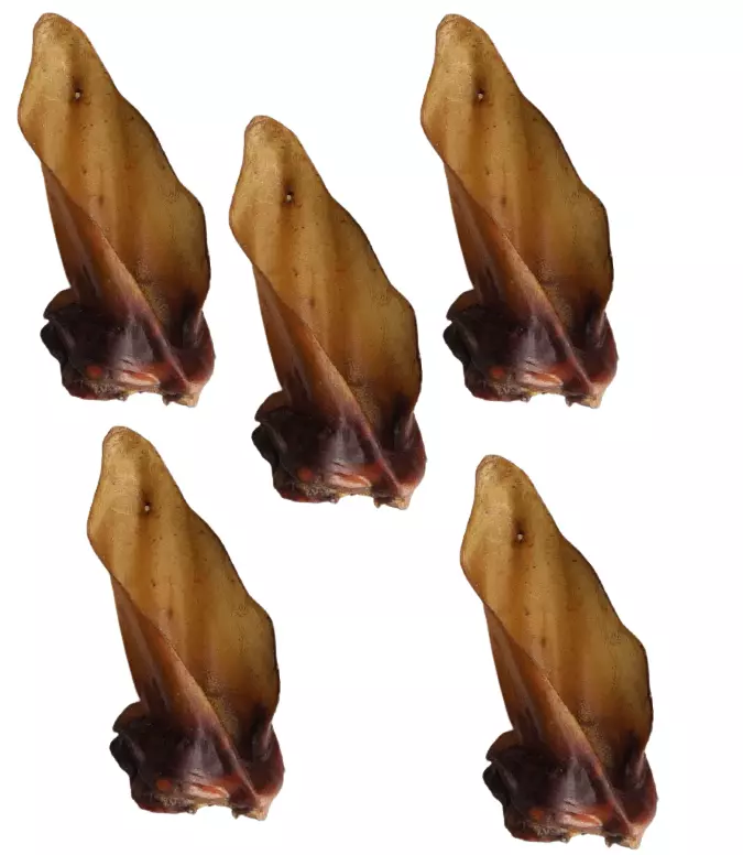 Snack'it Okseører m. muskel 5stk