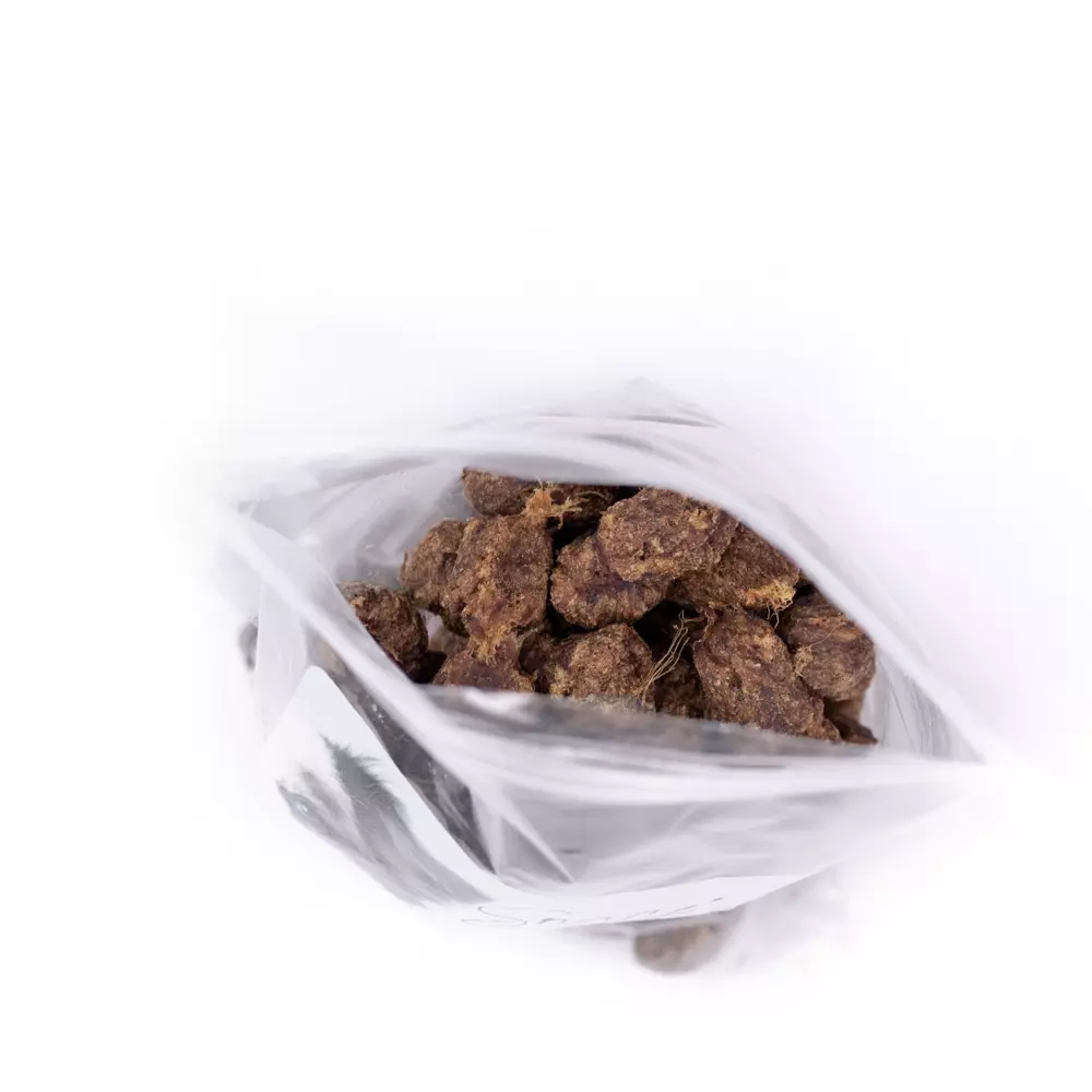 gallery-24-for-111208