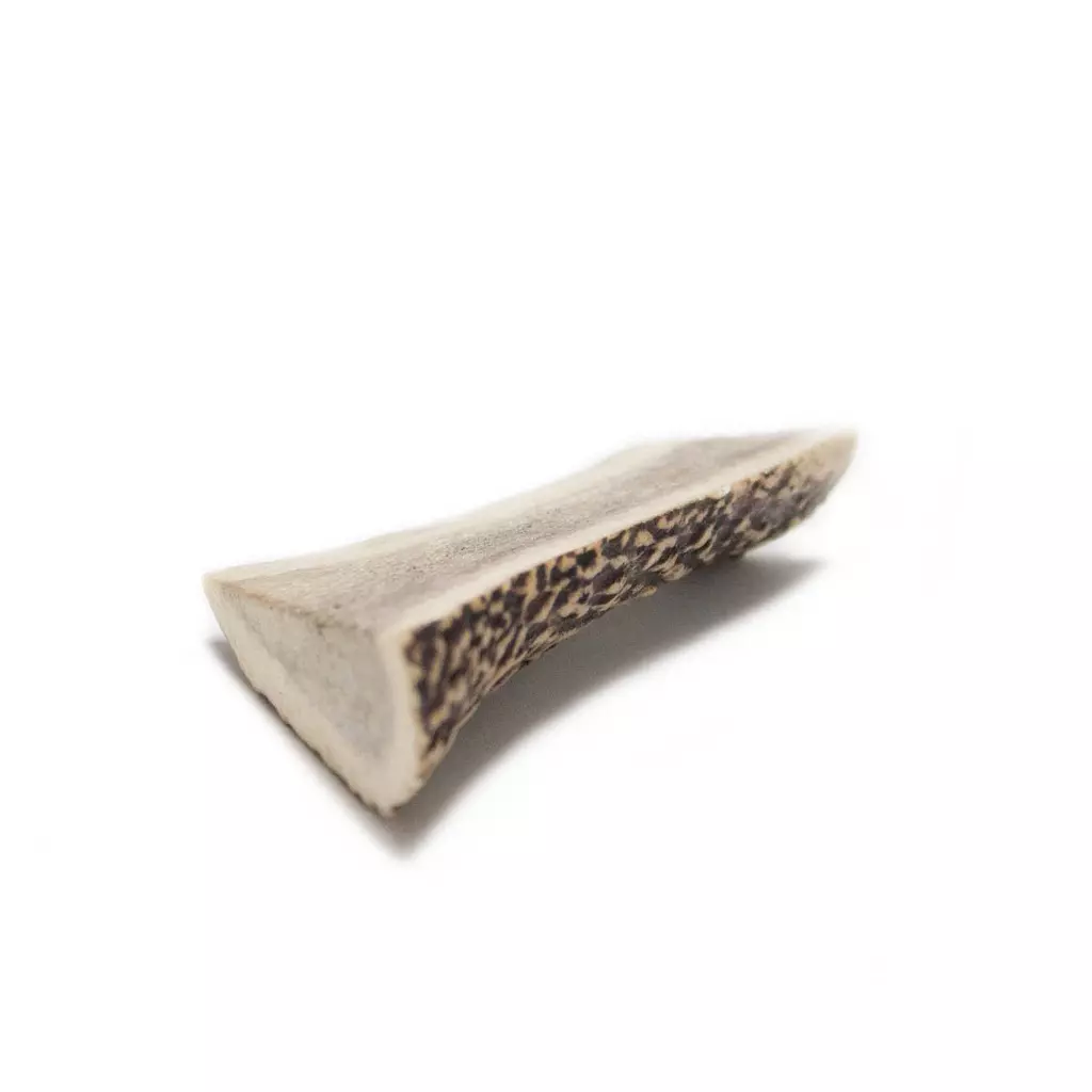 gallery-34-for-111215