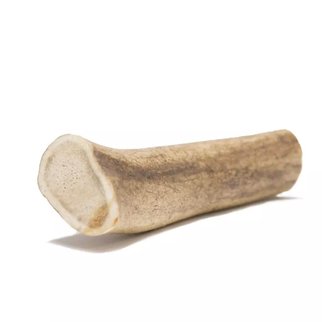 gallery-39-for-111217