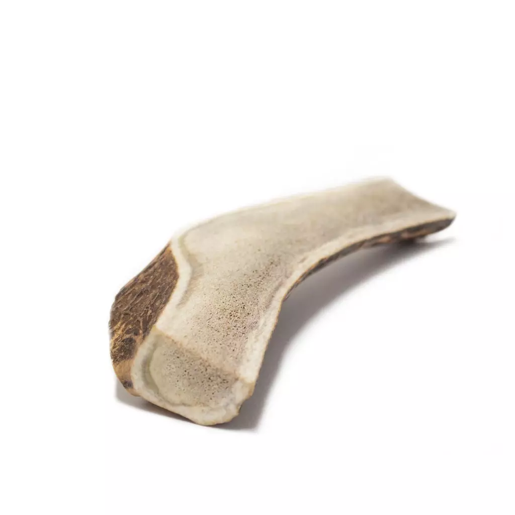 gallery-40-for-111218