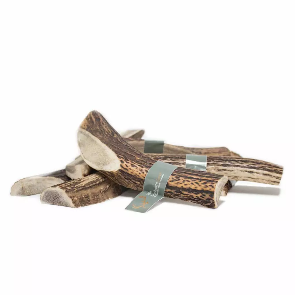 gallery-42-for-111218