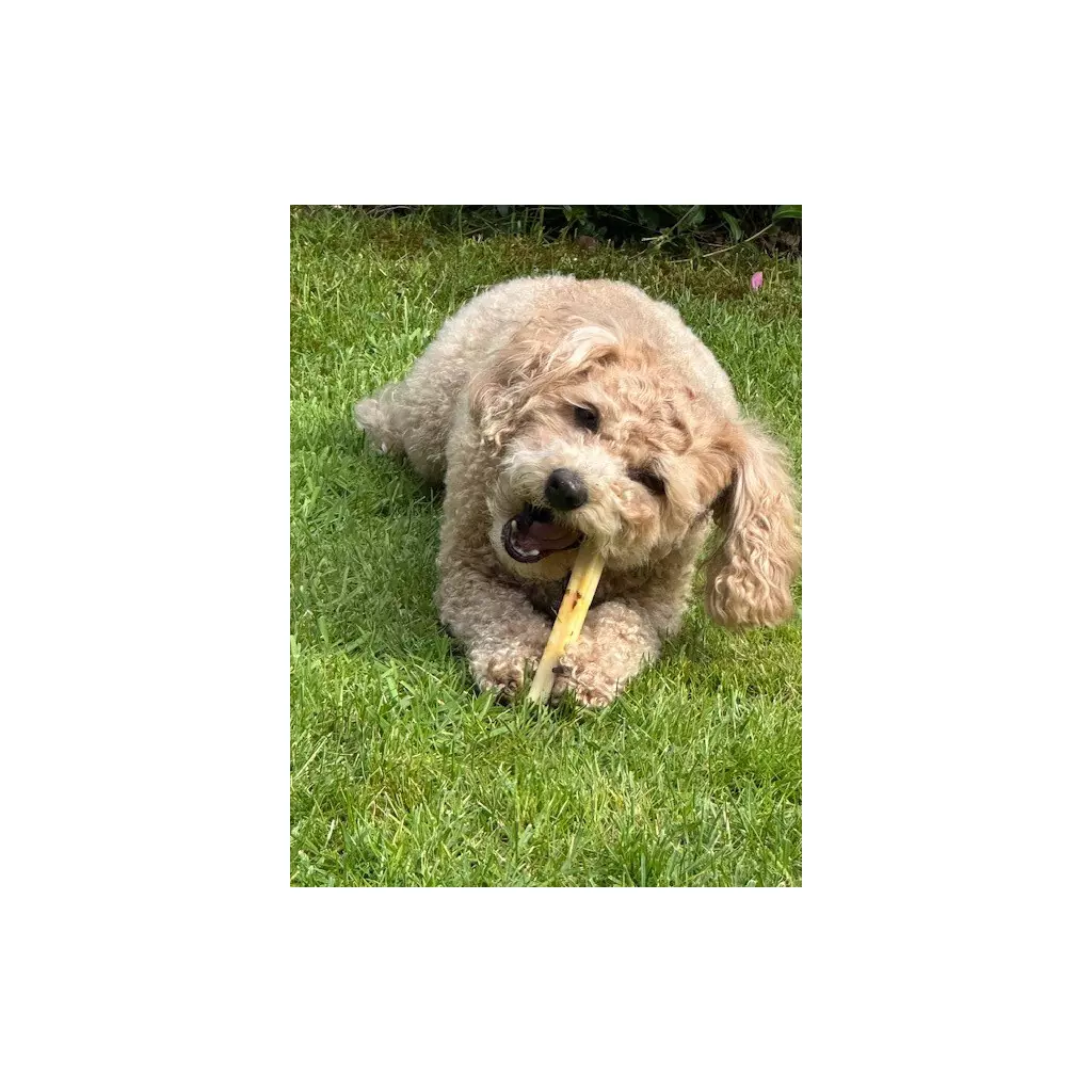 gallery-4-for-111198