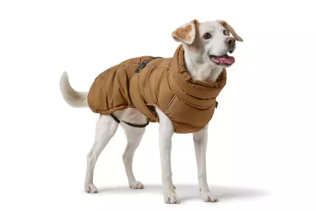 Coat Paxson 50cm Polyester caramel