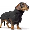 Coat Nordby Dachshund 45cm Polyester black