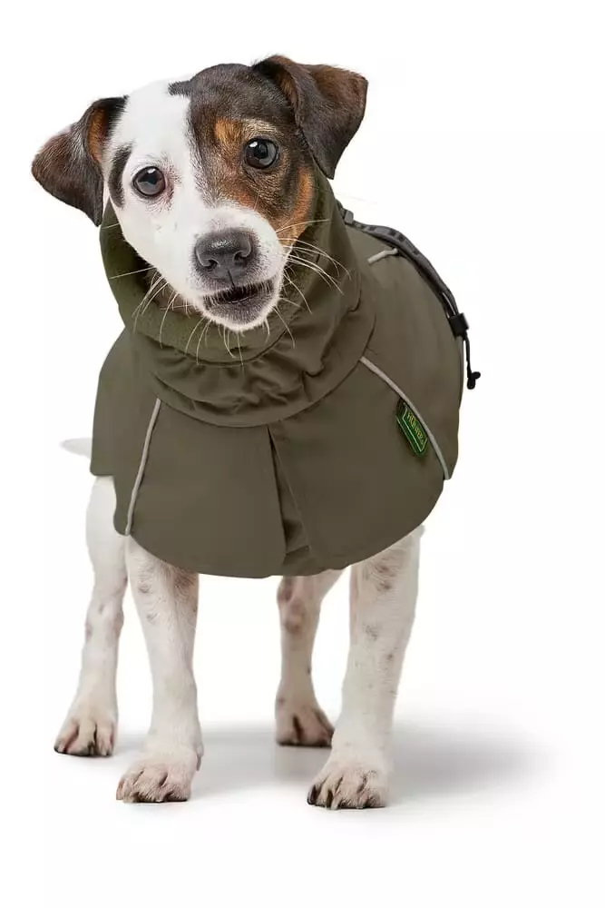 Coat Nordby Dachshund 33cm Polyester olive green