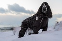 Doodle Coat Black Medium (45cm)