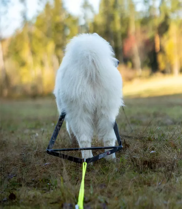 Huken Pinnedel - Sort, Large