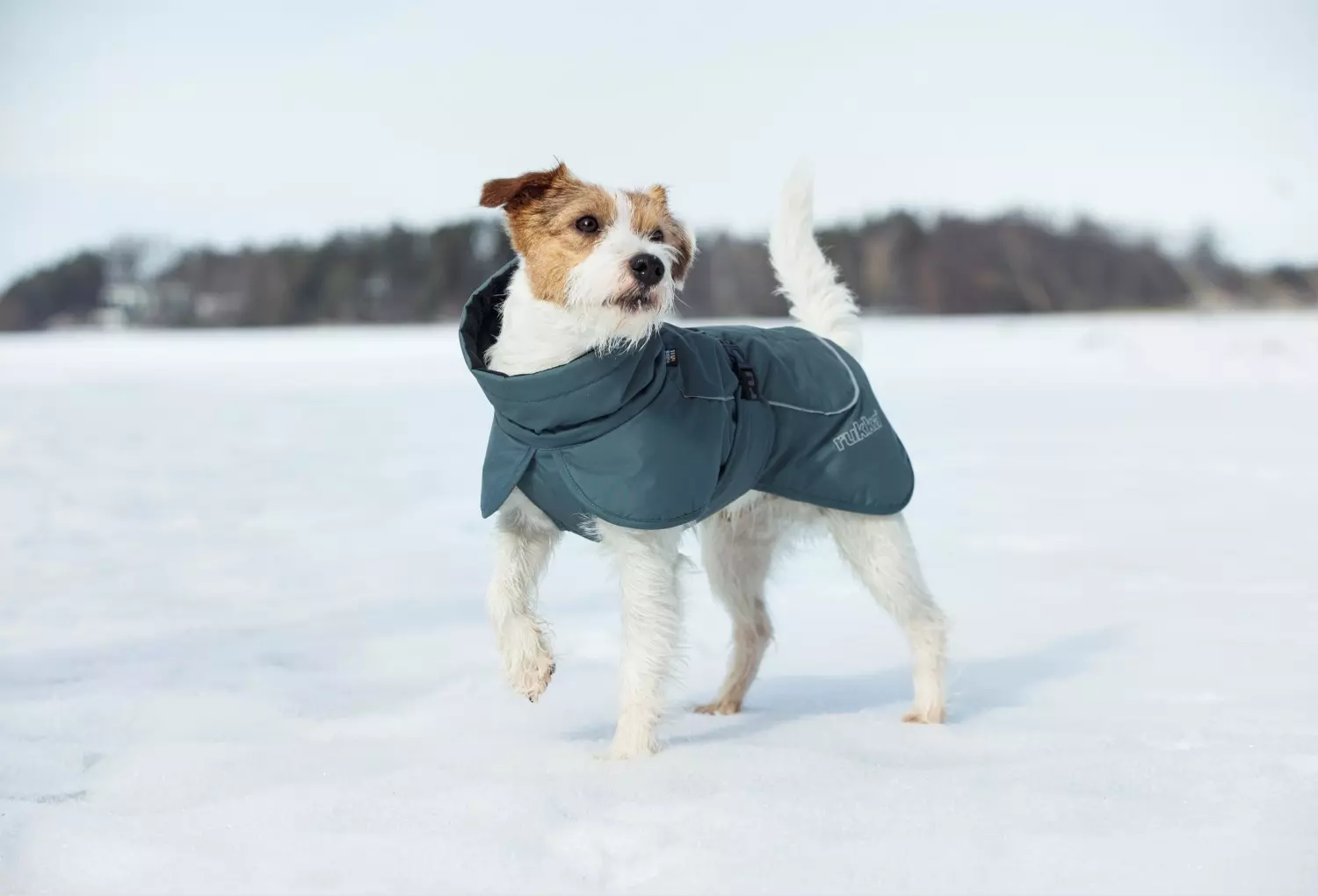 Rukka Pets Stormy Coat Dark Agave Str. 55 – Varmt vinterdekken med optimal bevegelsesfrihet