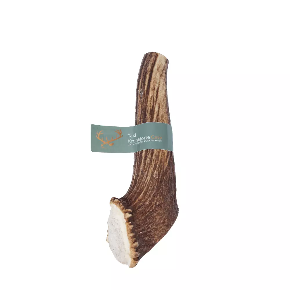 Taki Helt Kronhjort Gevir XL+ – Hardt Tyggebein for Hunder 30+ kg