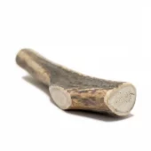 gallery-301-for-100145