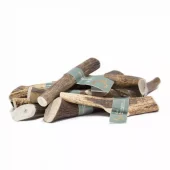 gallery-302-for-100145