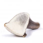 gallery-299-for-100146