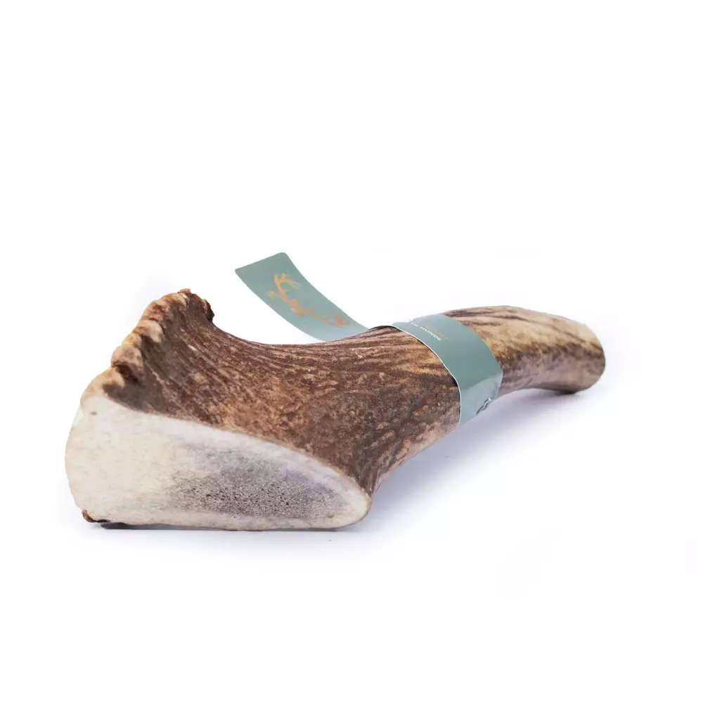 gallery-300-for-100146