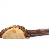 gallery-294-for-100148