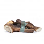 gallery-295-for-100148