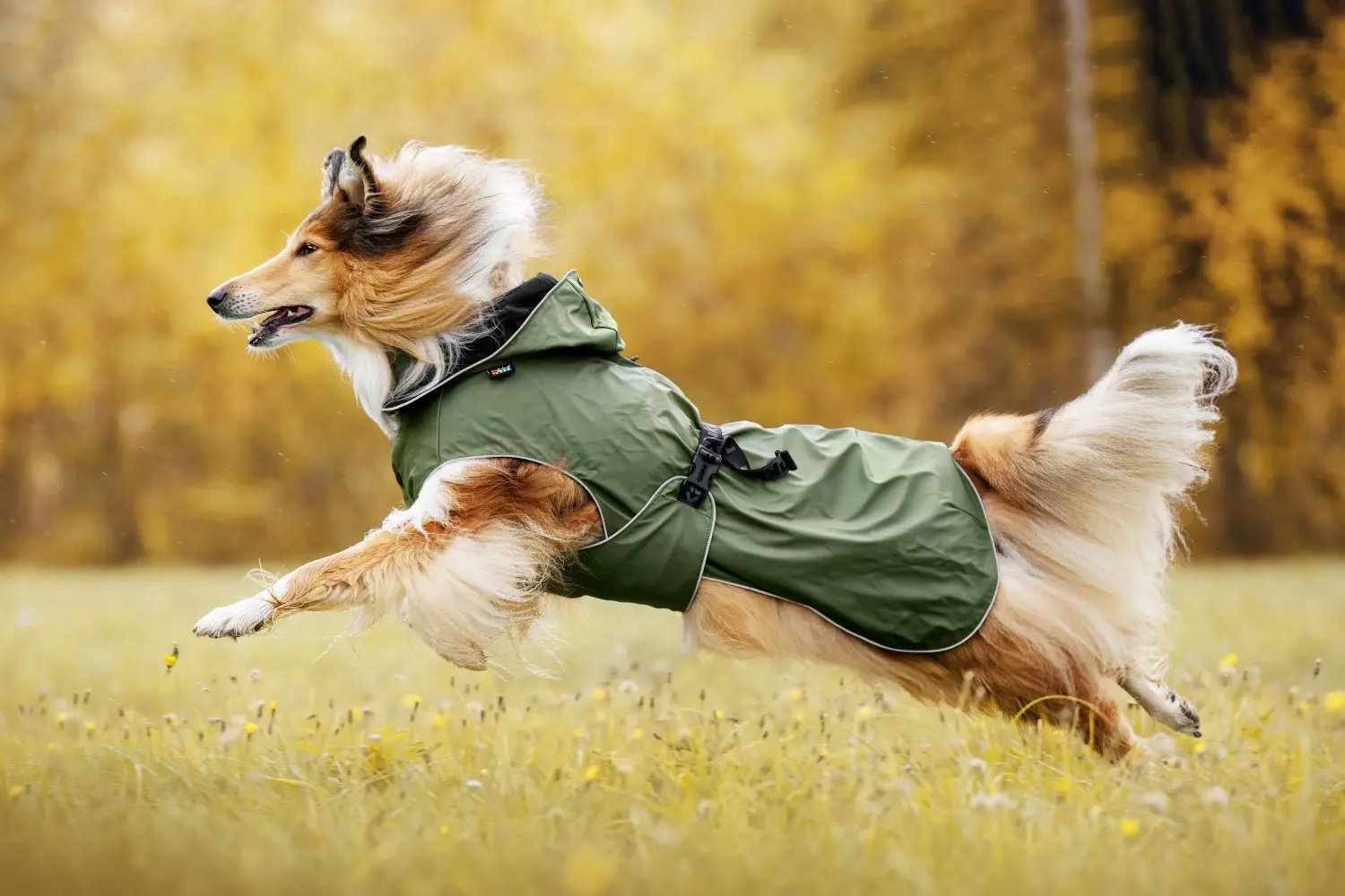 Rukka Pets Streamy X Regndekken Str. 40 – Lett og pustende hundedekken for regn og vind