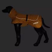 gallery-356-for-100227