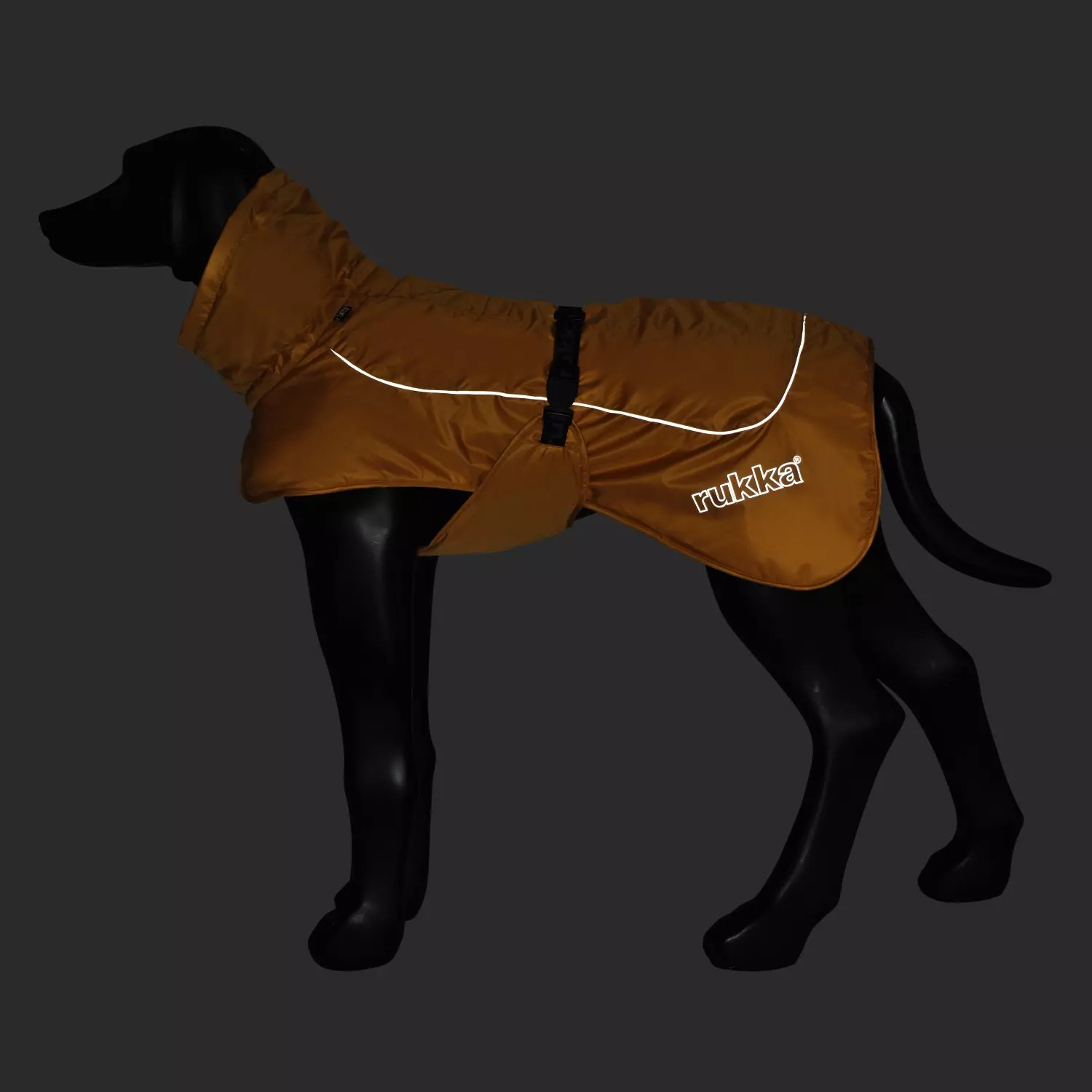 gallery-375-for-100238