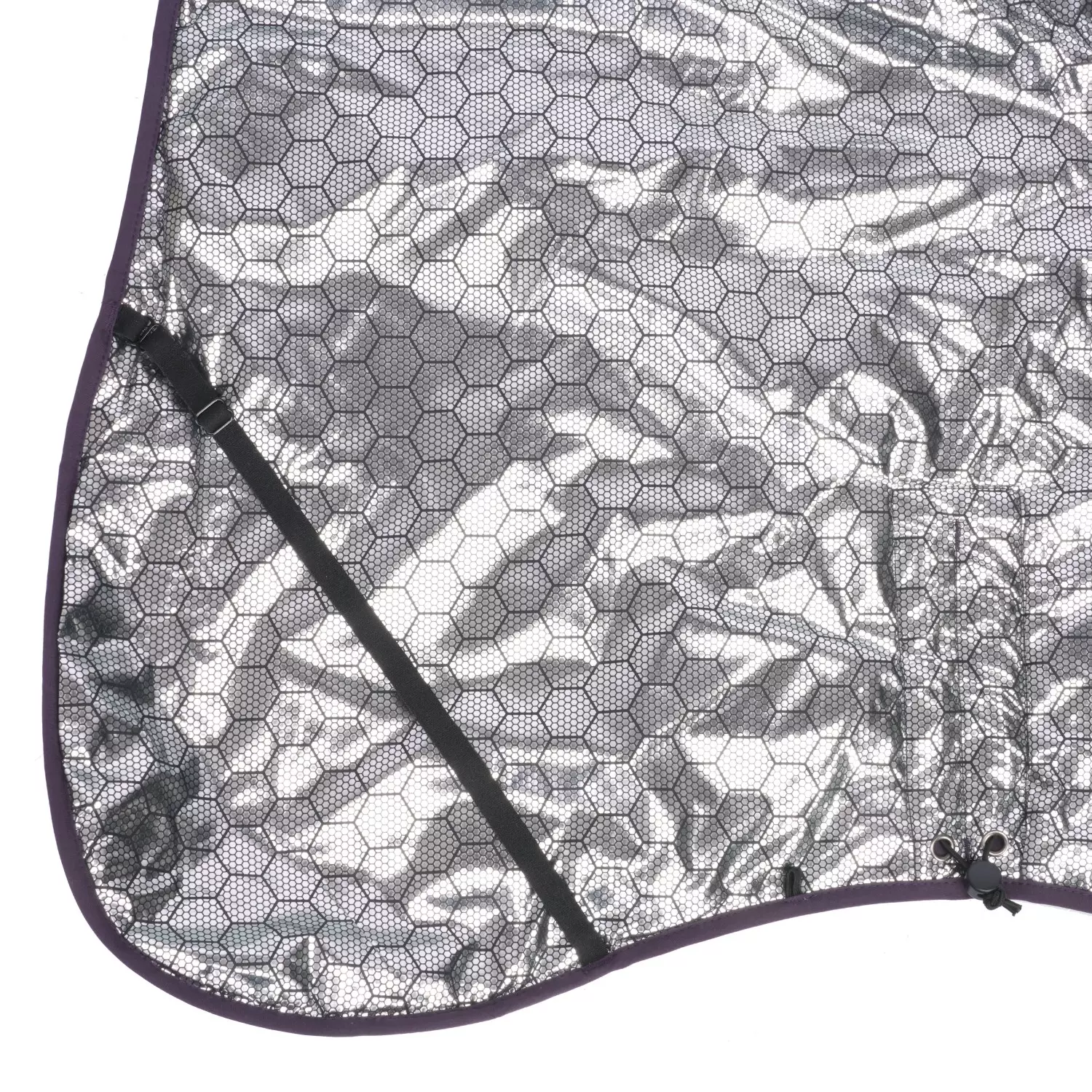 gallery-464-for-100262