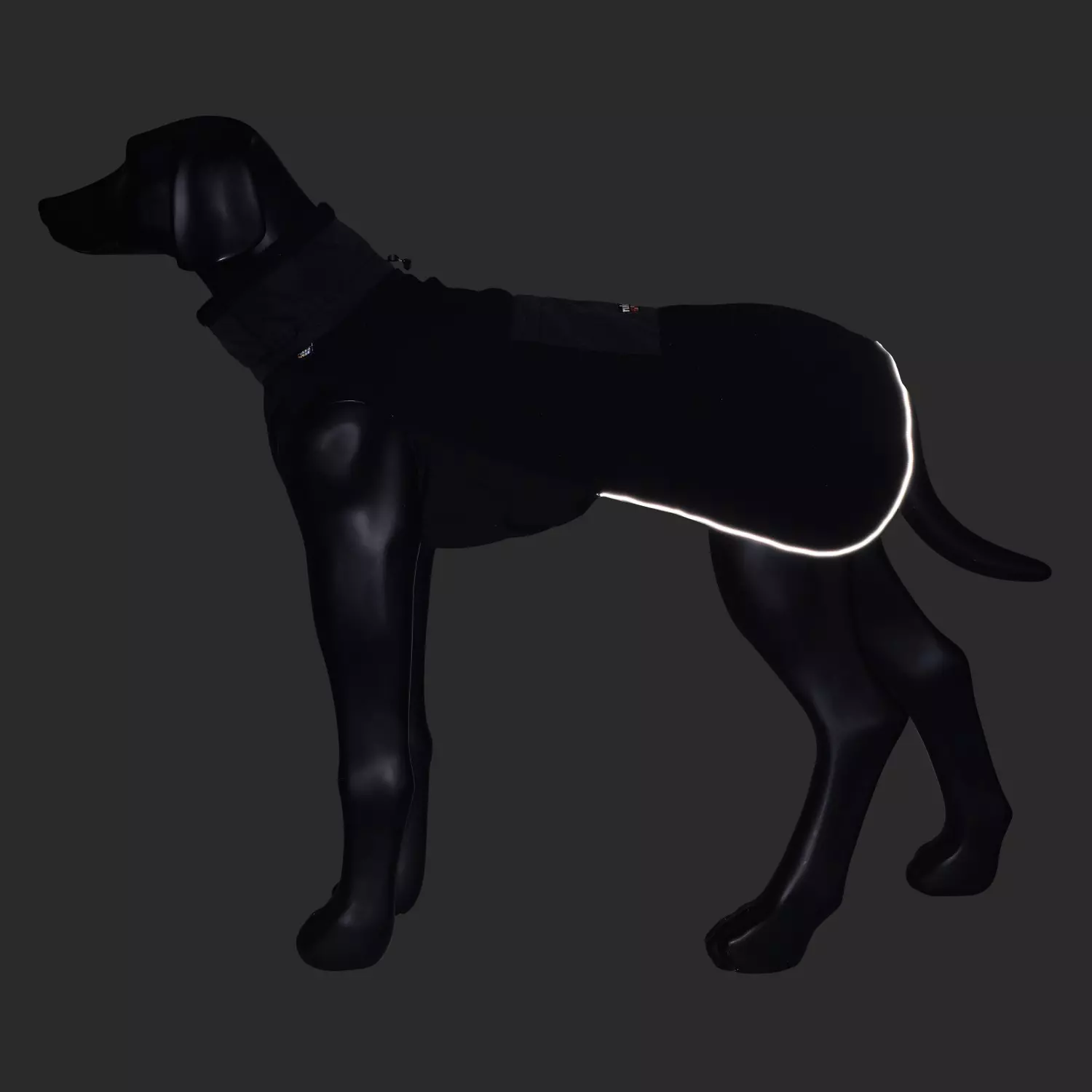 gallery-449-for-100283