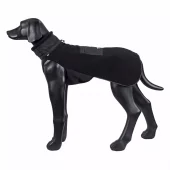 gallery-439-for-100287