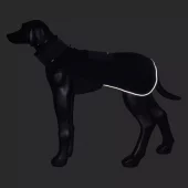 gallery-443-for-100288