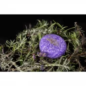 gallery-531-for-108080