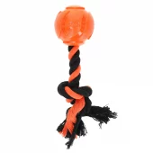 gallery-557-for-100321