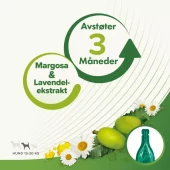 gallery-587-for-100353