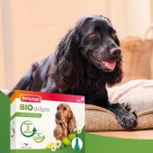 gallery-588-for-100353