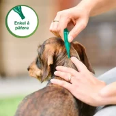 gallery-589-for-100353