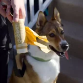 gallery-667-for-100406