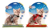 Kitten Walking Set