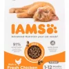 Iams Kitten 3kg