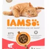 Iams Salmon 1+ 3kg