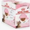 Royal Canin Kitten Sterilised In Gravy 12x85g