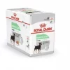 Royal Canin Digestive Care Loaf 12x85g