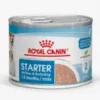 Royal Canin Mother & Babydog Starter Mousse Can 195g