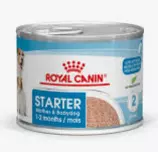 Royal Canin Mother & Babydog Starter Mousse Can 195g