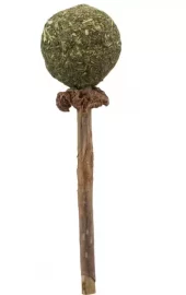 Matatabi/Catnip Lollipop 11cm