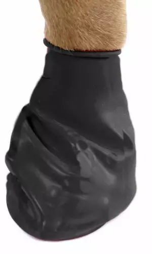 Pawz Rubber dog boots Large