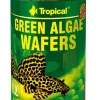 Tropical Green Algea Wafers 45gr/100ml