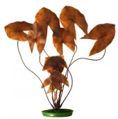 Marina Dwarf Lily 38cm