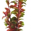 Marina Rød Ludwigia 30cm