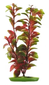 Marina Rød Ludwigia 30cm