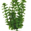 Marina Ambulia 30cm